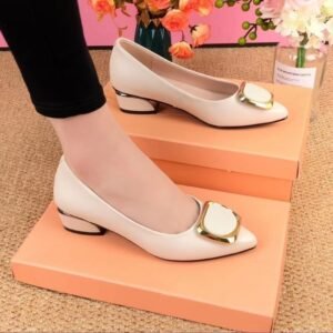 stylish-and-comfortable-womens-low-heeled-shoes